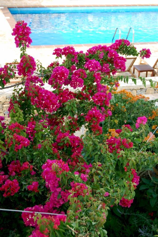 Aeolos Hotel Koufonisia Eksteriør bilde